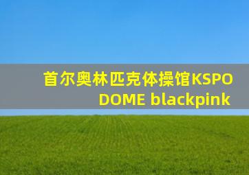 首尔奥林匹克体操馆KSPO DOME blackpink